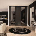 Façade de placard coulissante 3 portes miroir plomb, décor structuré leguan noir