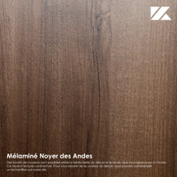 Mikado Noyer des Andes 01